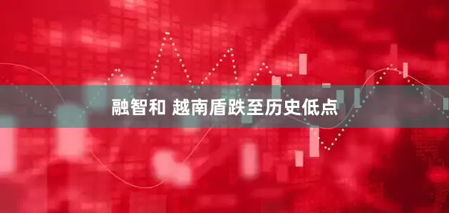 融智和 越南盾跌至历史低点