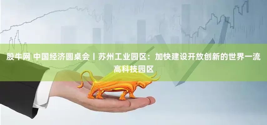 股牛网 中国经济圆桌会丨苏州工业园区：加快建设开放创新的世界一流高科技园区