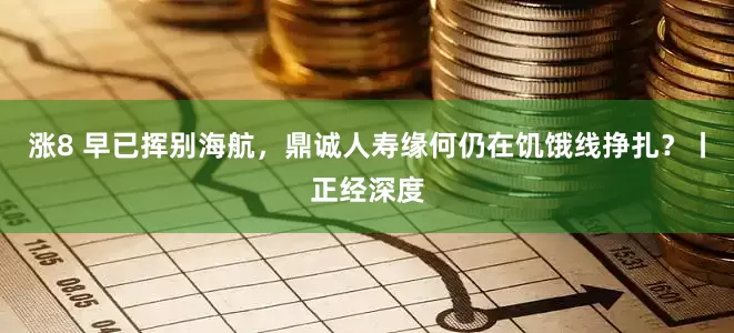 涨8 早已挥别海航，鼎诚人寿缘何仍在饥饿线挣扎？丨正经深度