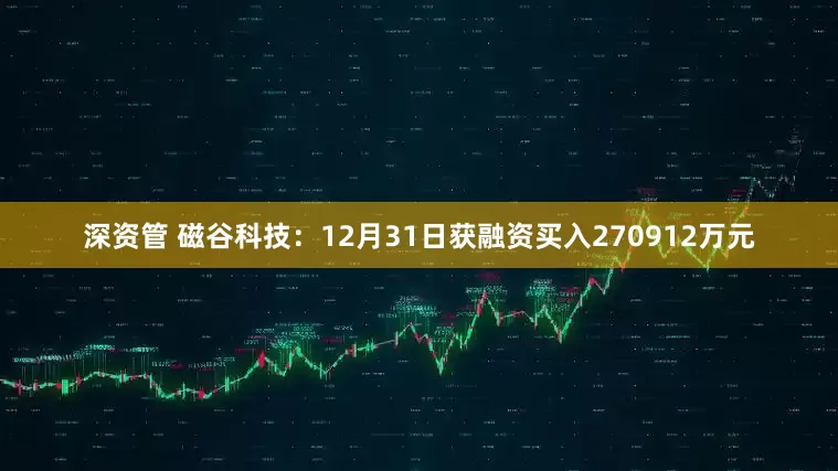 深资管 磁谷科技：12月31日获融资买入270912万元