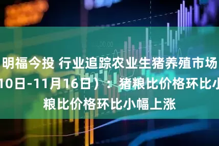 明福今投 行业追踪农业生猪养殖市场（11月10日-11月16日）：猪粮比价格环比小幅上涨